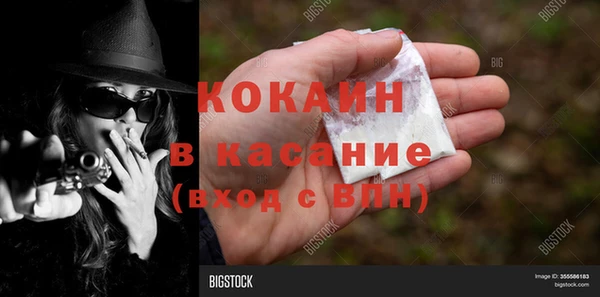 ГАЛЛЮЦИНОГЕННЫЕ ГРИБЫ Осинники