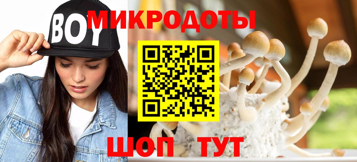 Галлюциногенные грибы Psilocybine cubensis Черняховск