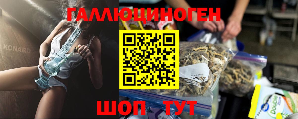 Псилоцибиновые грибы мицелий  Вход с VPN  Черняховск 